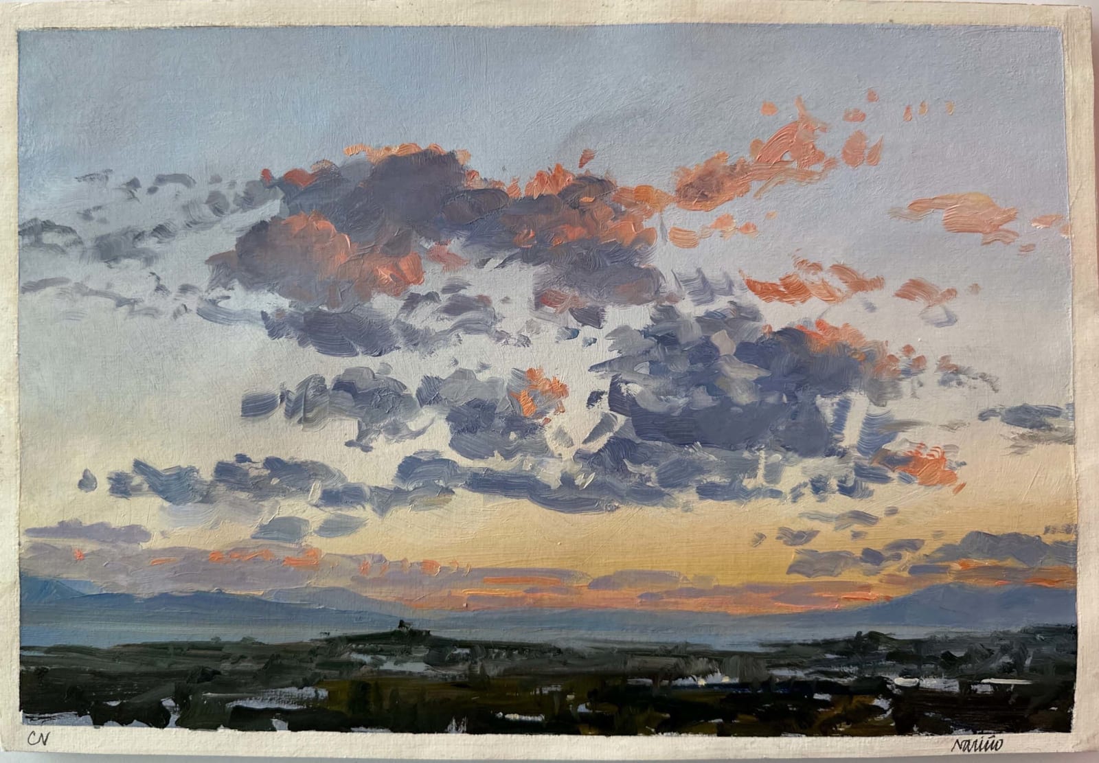 Carlos Nariño, Esquisse 7, 2024