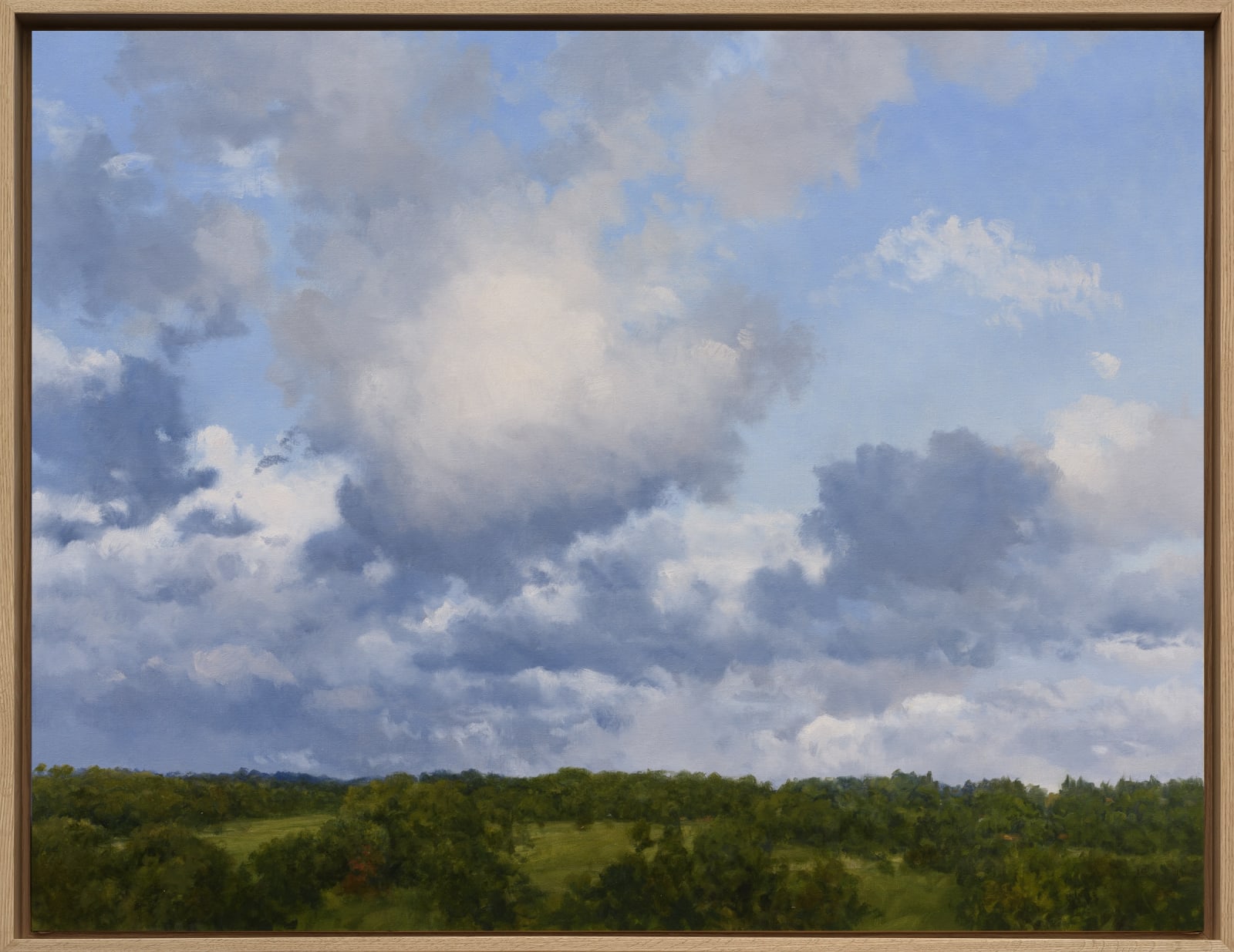 Carlos Nariño, Ciel 13, 2024