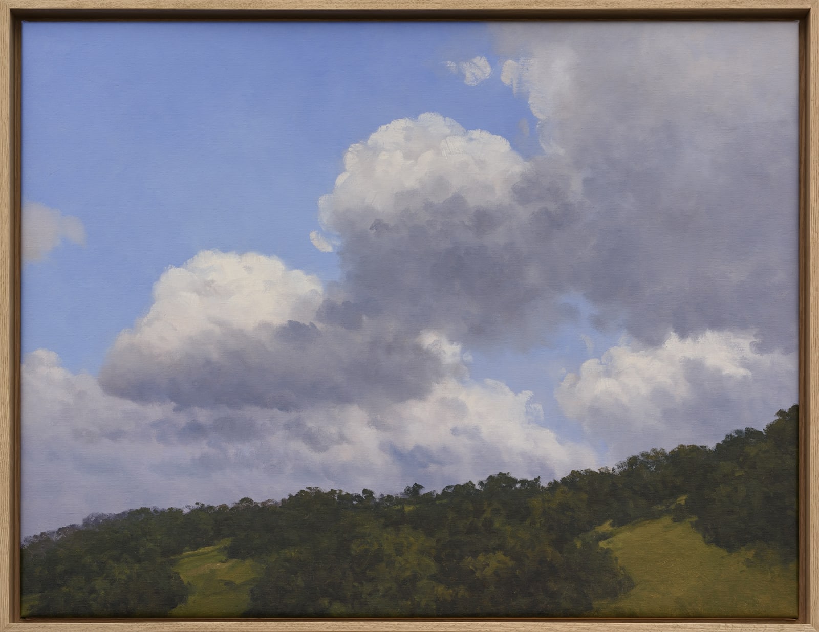 Carlos Nariño, Ciel 16, 2024