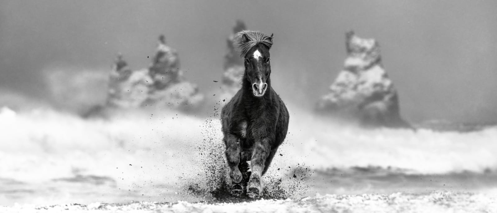 David Yarrow, My Perfect Storm (B&W)