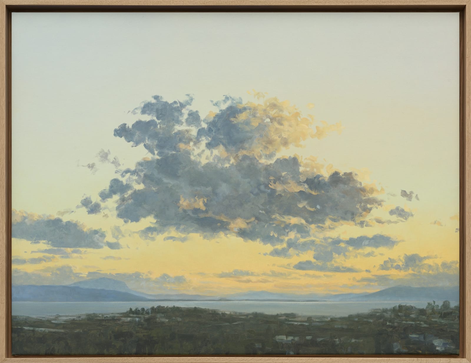 Carlos Nariño, Ciel 5, 2024