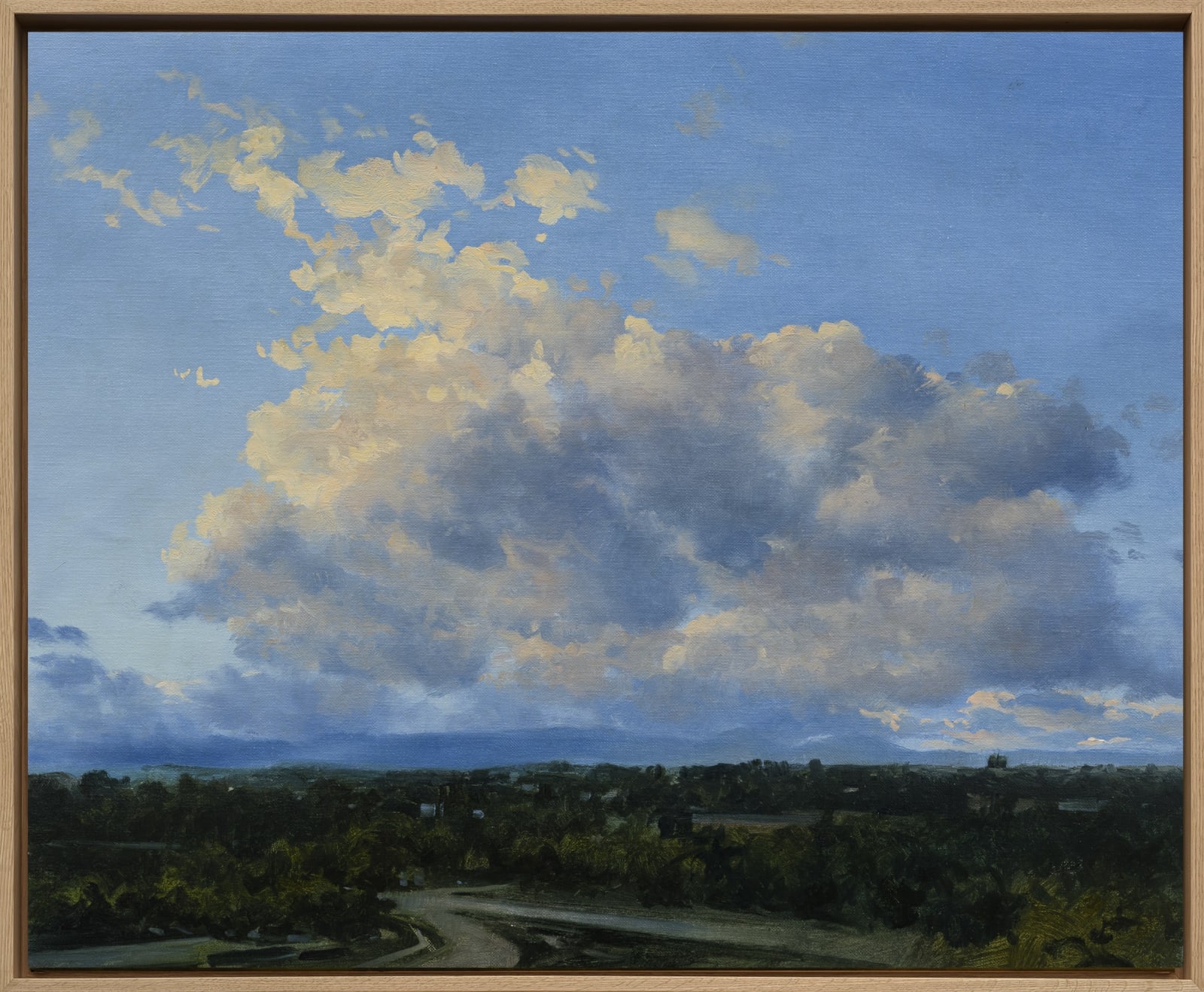 Carlos Nariño, Ciel 19, 2024