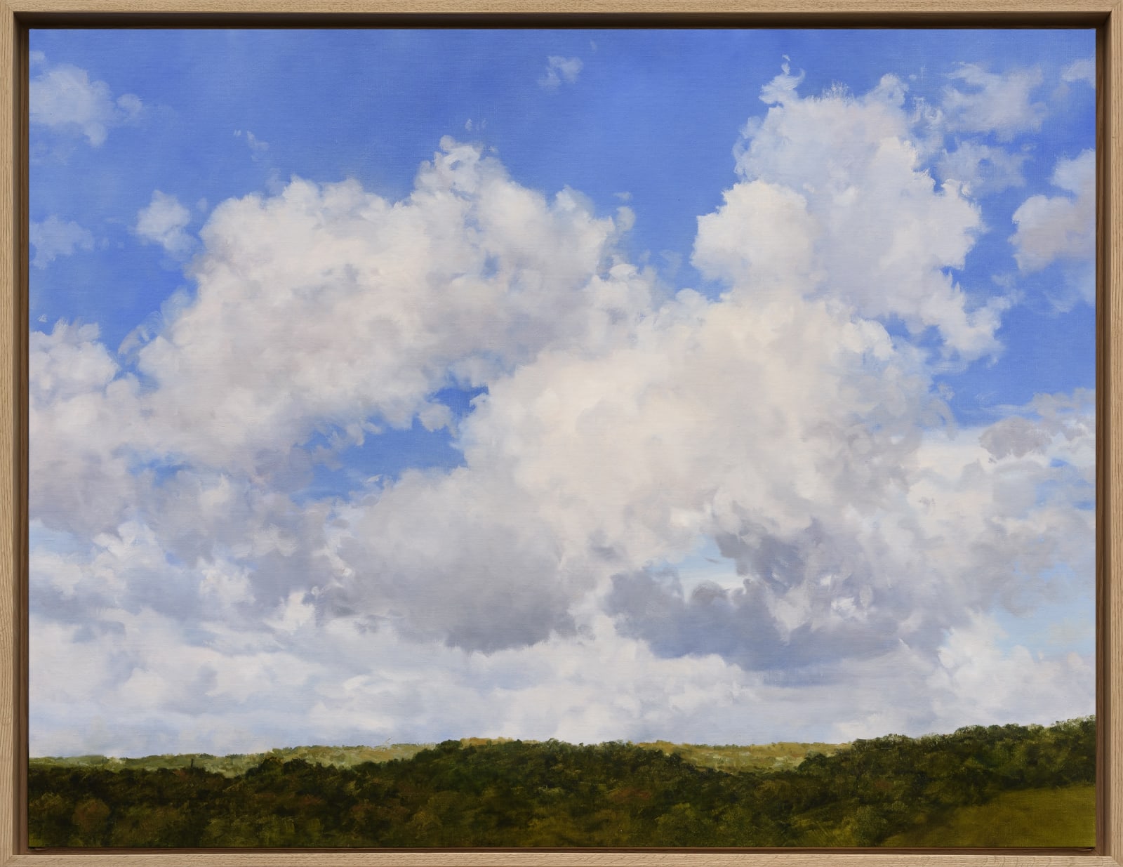 Carlos Nariño, Ciel 12, 2024