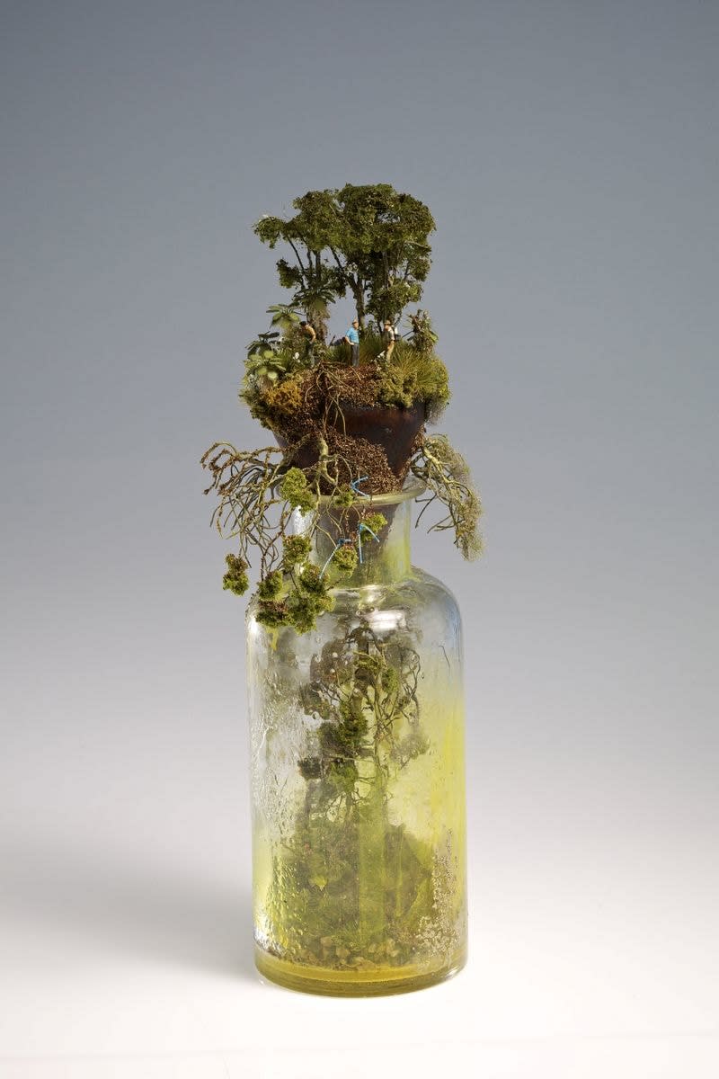 Kendal Murray, Reclaim, Proclaim, Place Name (Sprouting Seeds), 2013