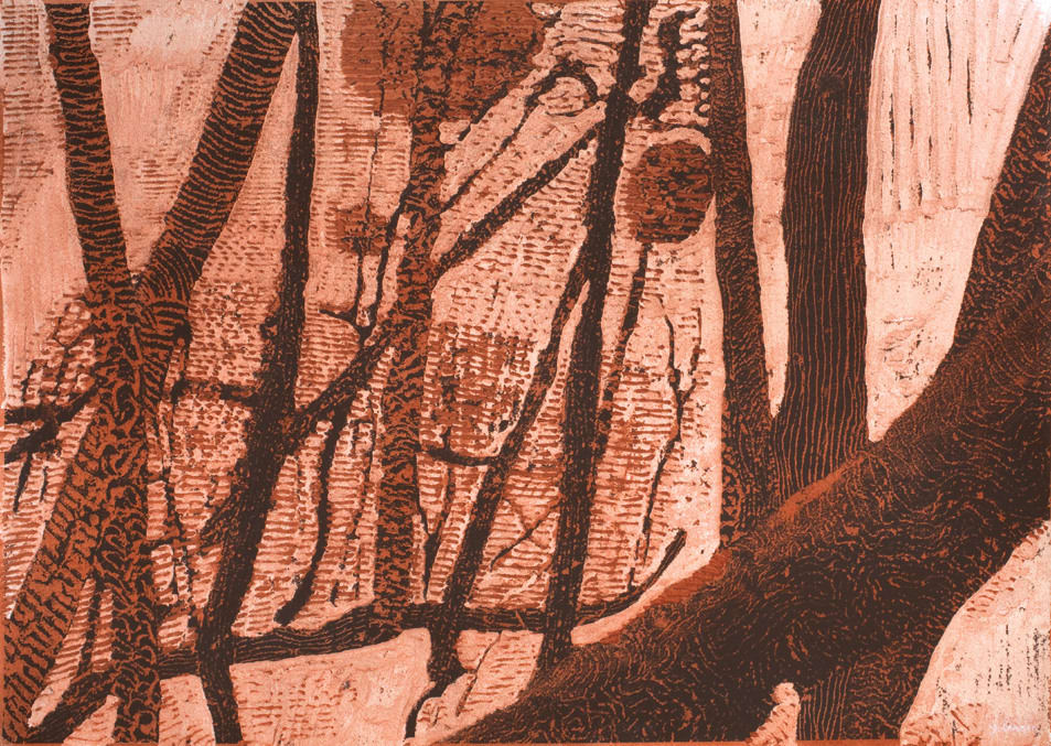 Joshua Yeldham, White Creek – Mangrove Country, 2010