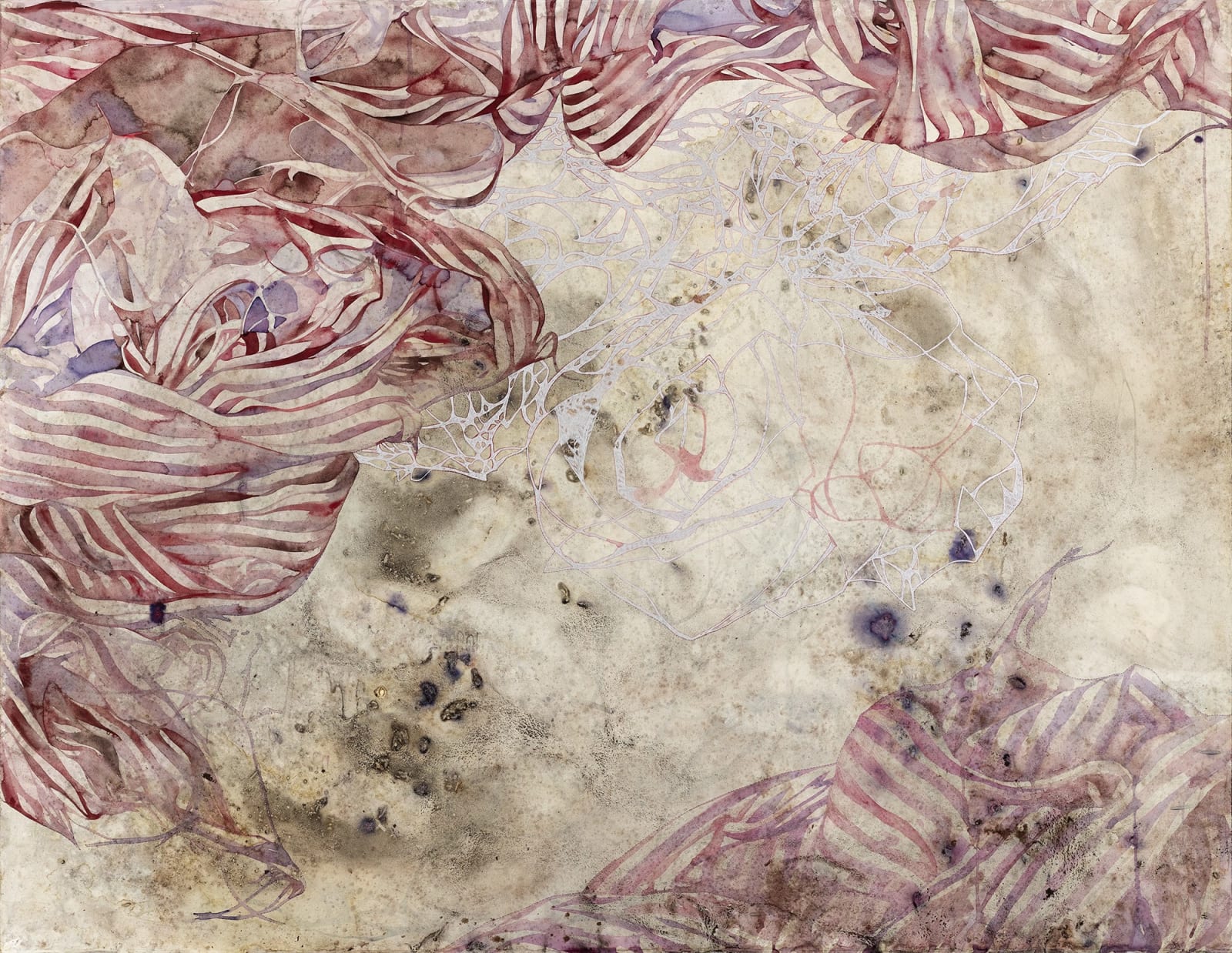 Belinda Fox, Grow I, 2019