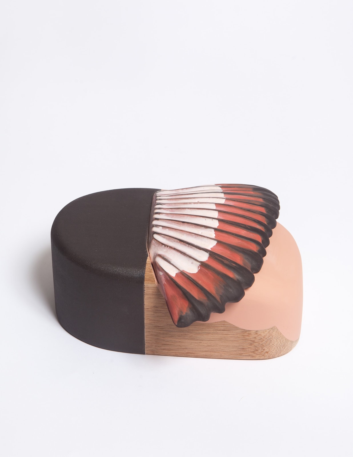 Emma Walker, Little Wing, 2024