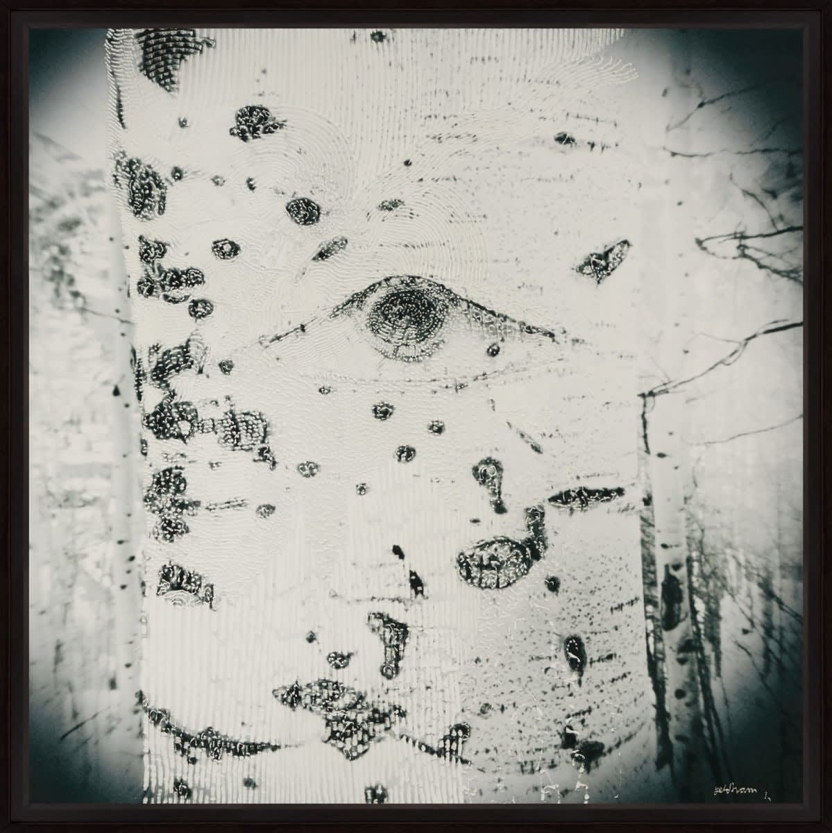 Joshua Yeldham, Aspen Tree III (Ed. of 10), 2020