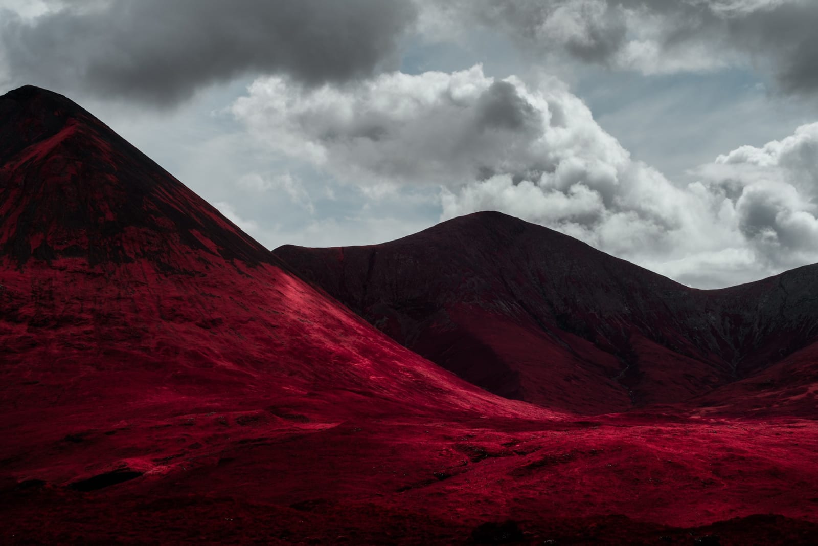 Kate Ballis, Pulse, 2019