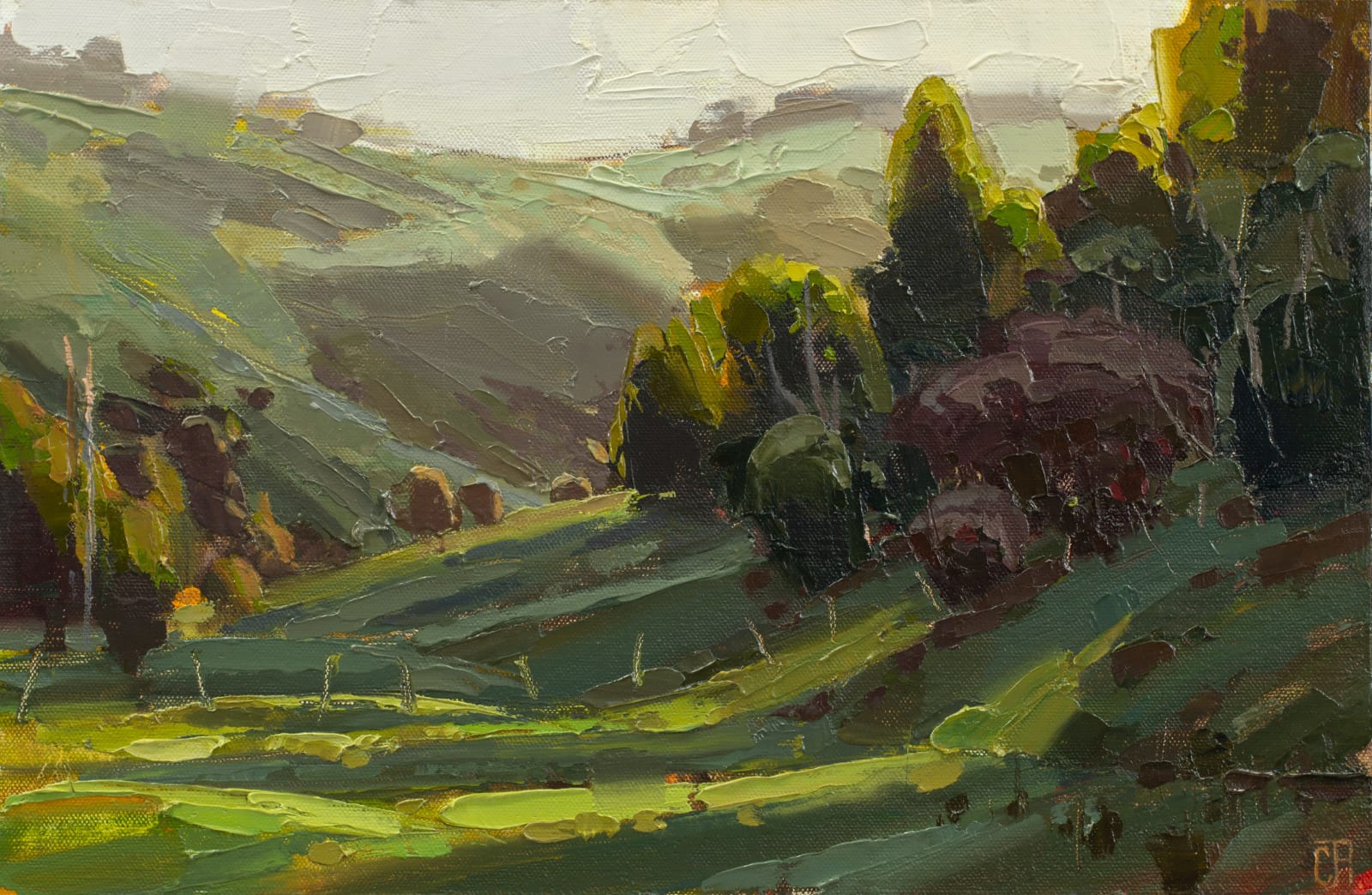 Clifford How, Quiet Place Radiance, 2025