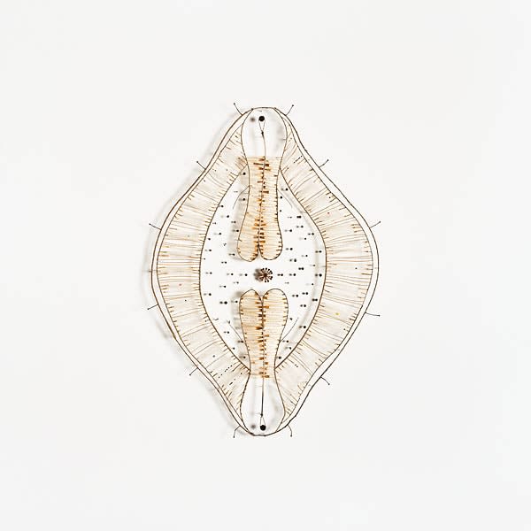 Shona Wilson, Diatom No.13, 2009