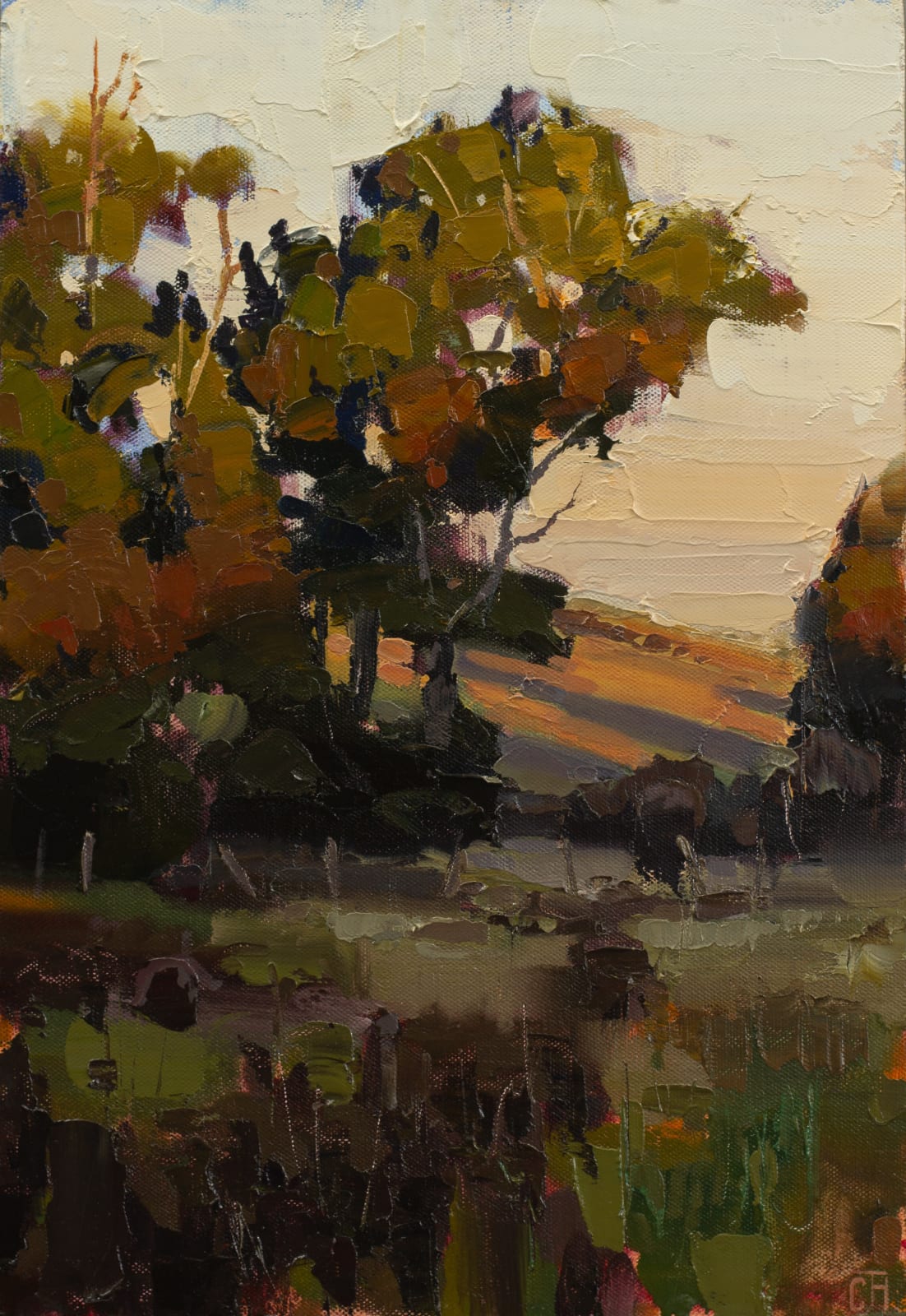 Clifford How, Following the Sun I, 2025