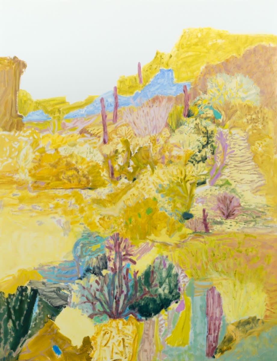 Jo Bertini, Seeding a Tumbled Canyon, 2021