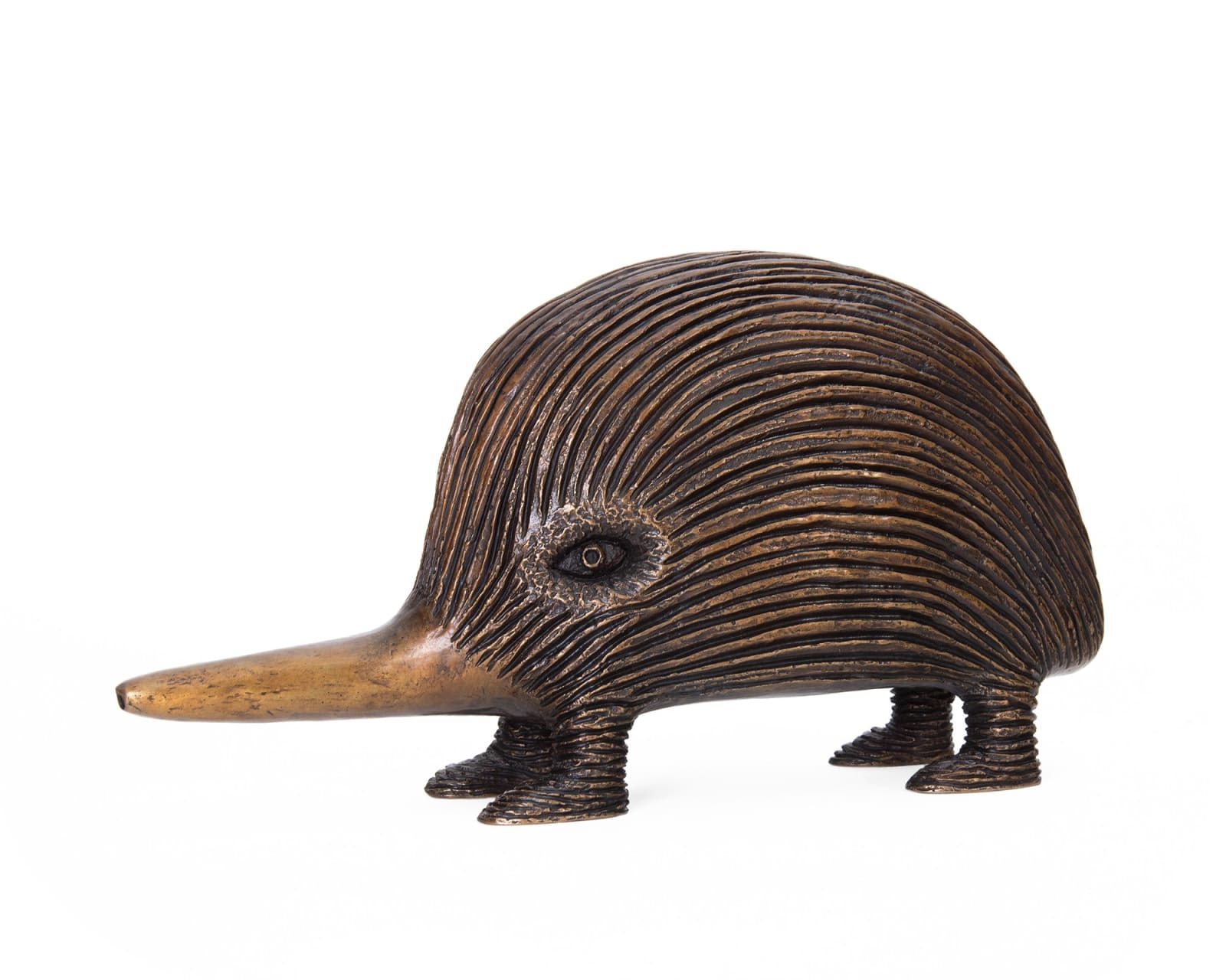 Dean Bowen, Small Echidna, 2024