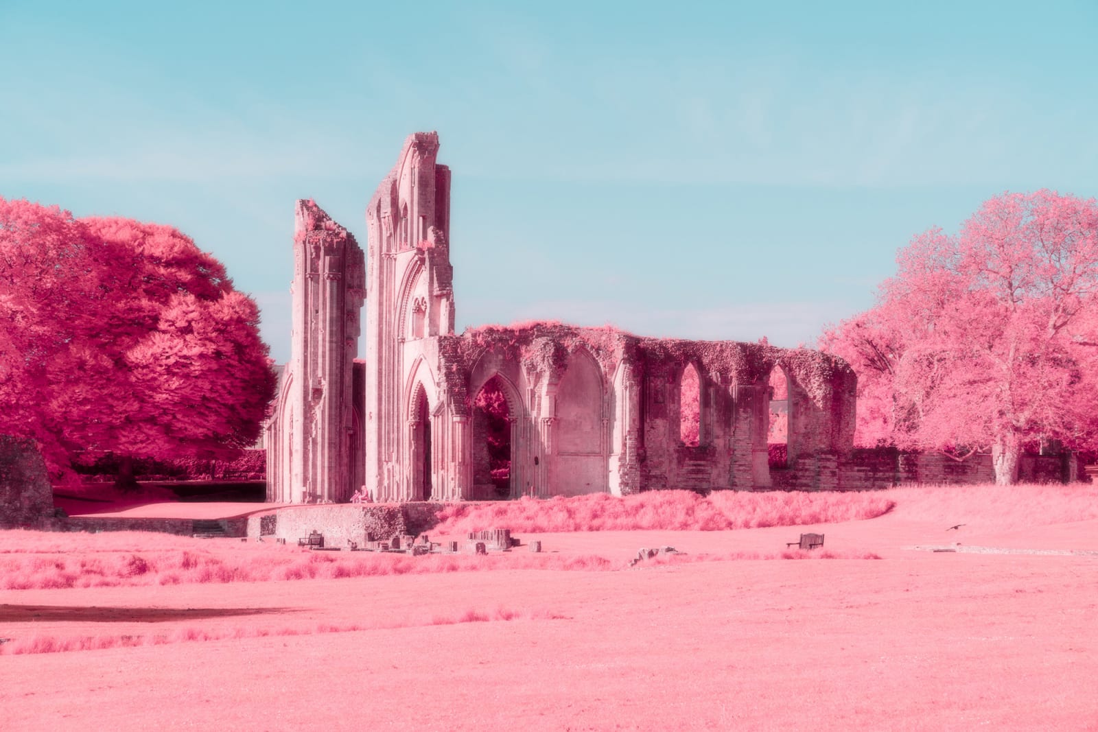 Kate Ballis, Graal, 2019