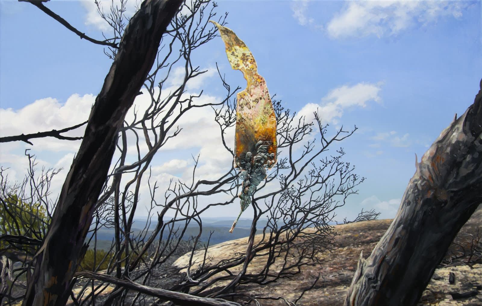 Hobie Porter, Combustion Park, 2014