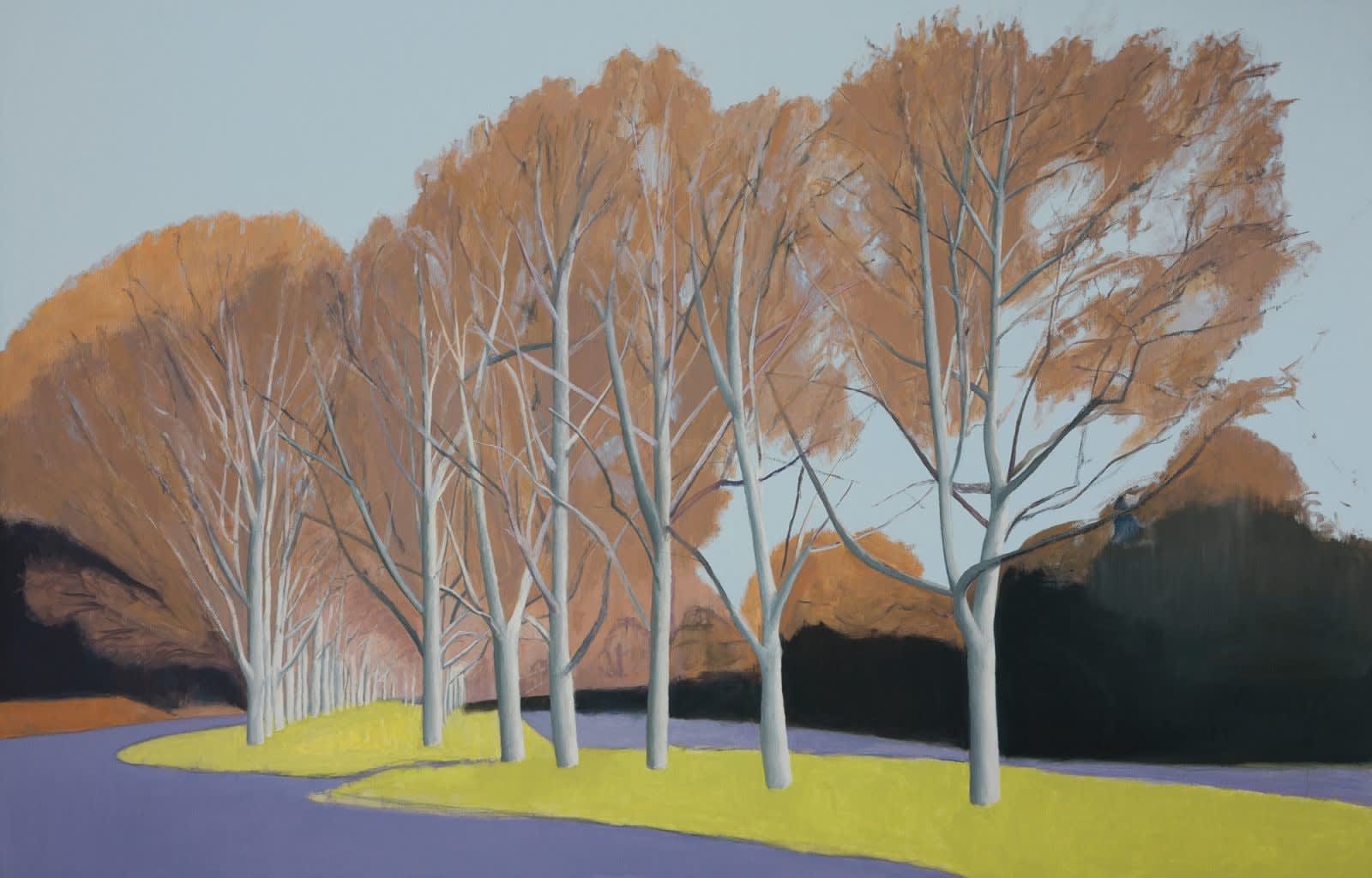 Peter Simpson, Plane Tree Stand, Paddington, 2018