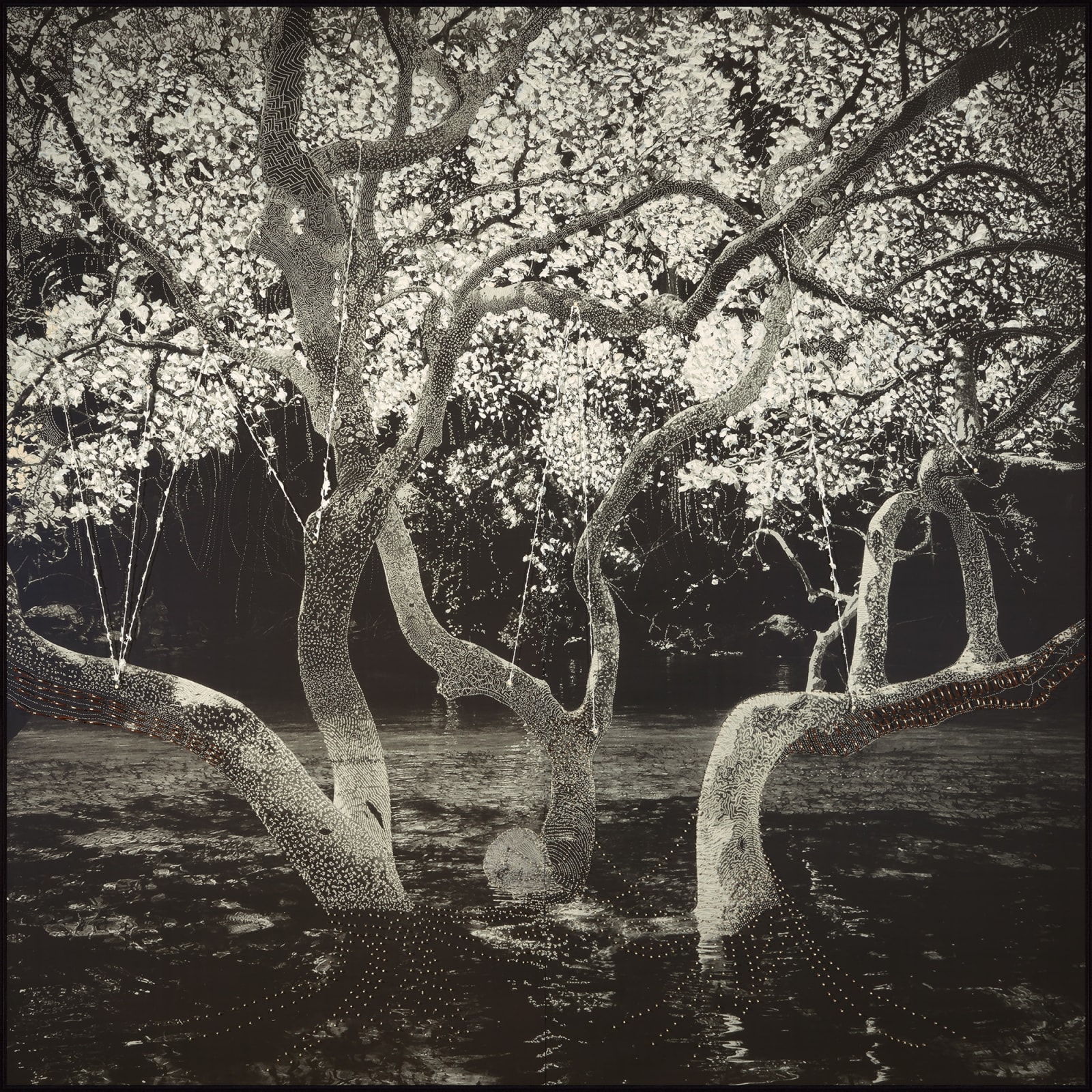 Joshua Yeldham, Surrender Tree – Morning Bay, 2023