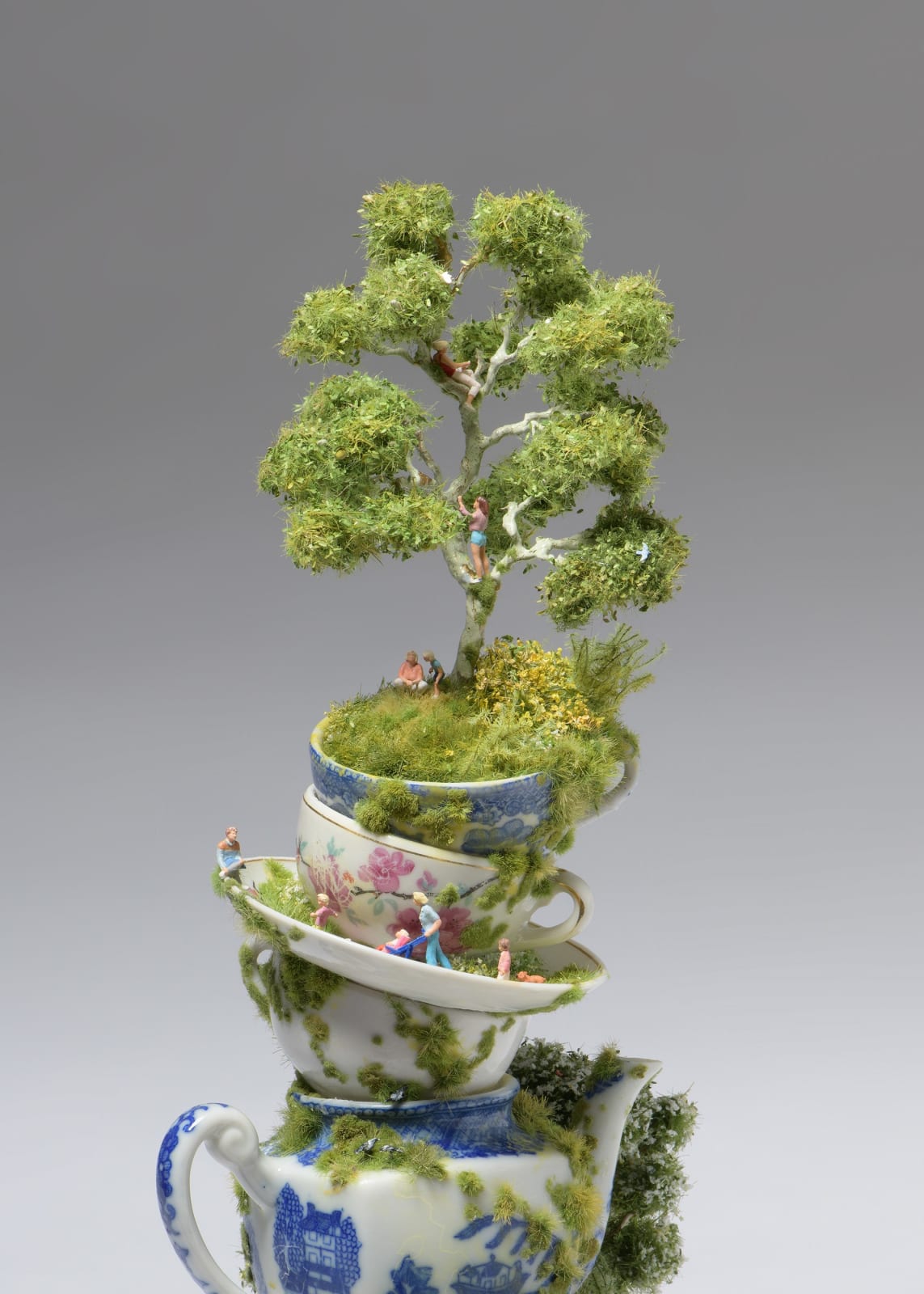 Kendal Murray, Tree Top Co-Op, 2024