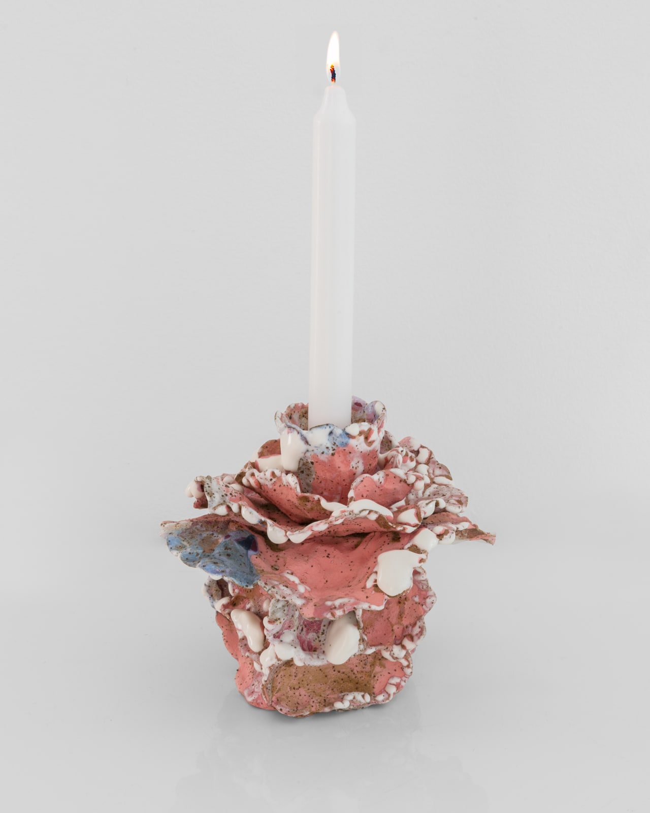 Amelia Lynch, Petals of the Tide, 2025