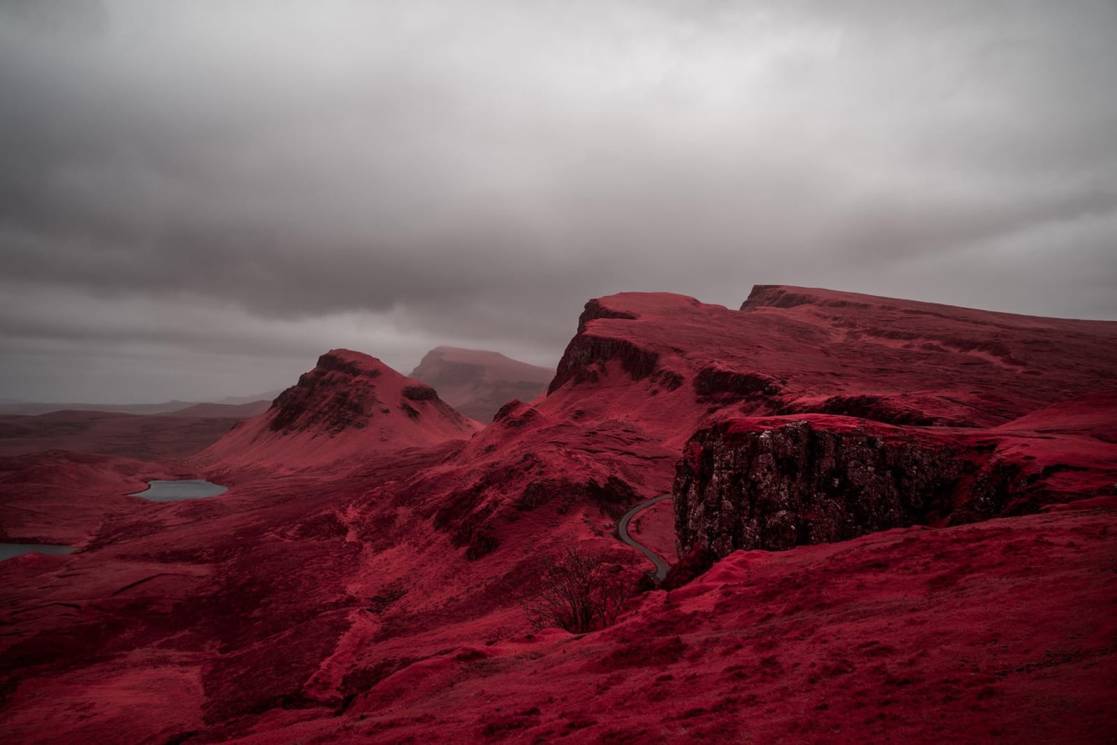 Kate Ballis, Helix, 2019