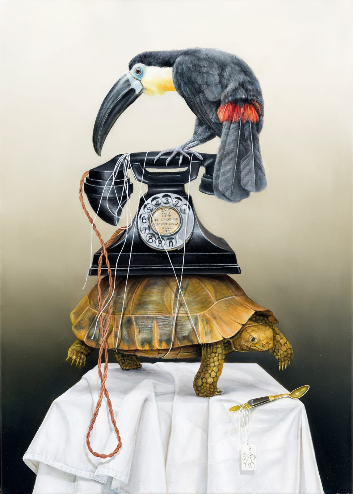 Kate Bergin, The Toucan's Mobile Phone, 2019