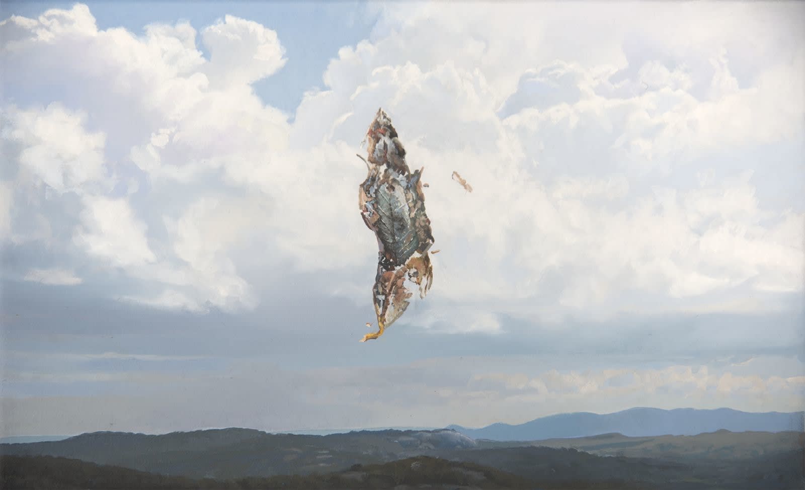 Hobie Porter, White Sky Black Country, 2014