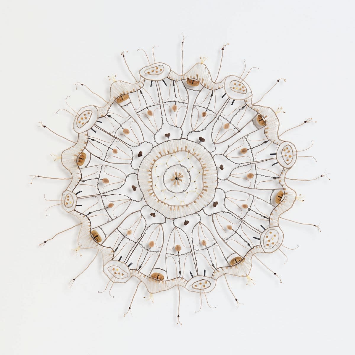 Shona Wilson, interlace No.5, 2011