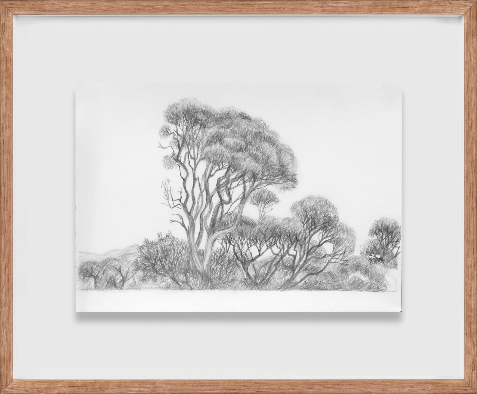 Robyn Sweaney, Moonah Study II, 2020