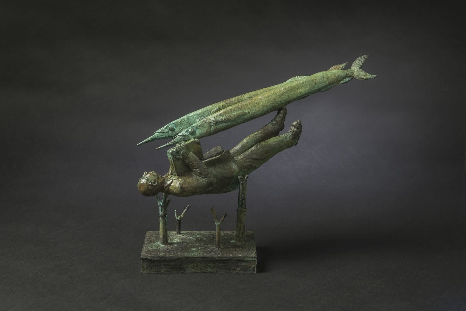 Jon Eiseman, Stranger in a Strange Land, 2015
