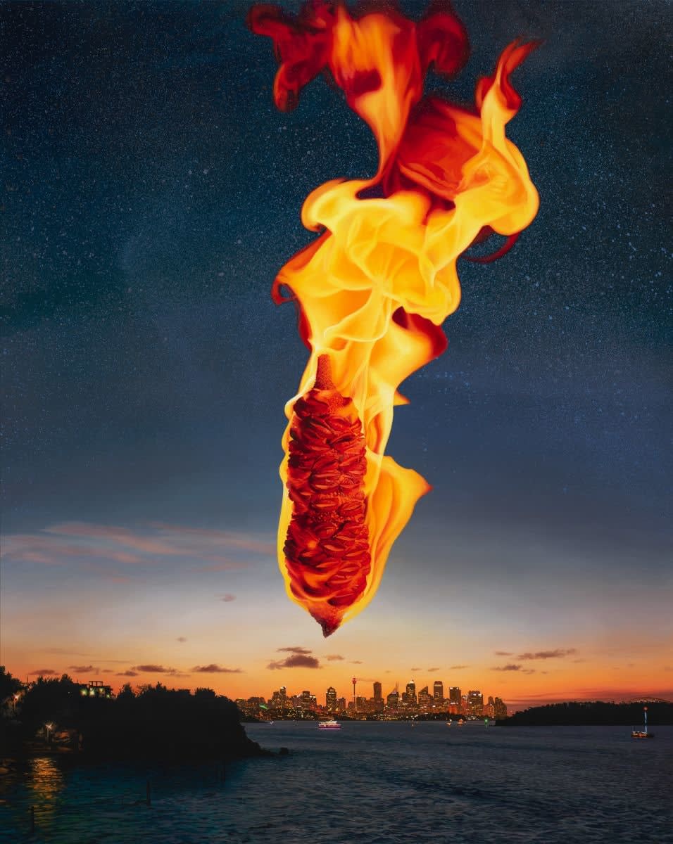 Hobie Porter, The Lights of Sydney Cove, Past and Present, 2019