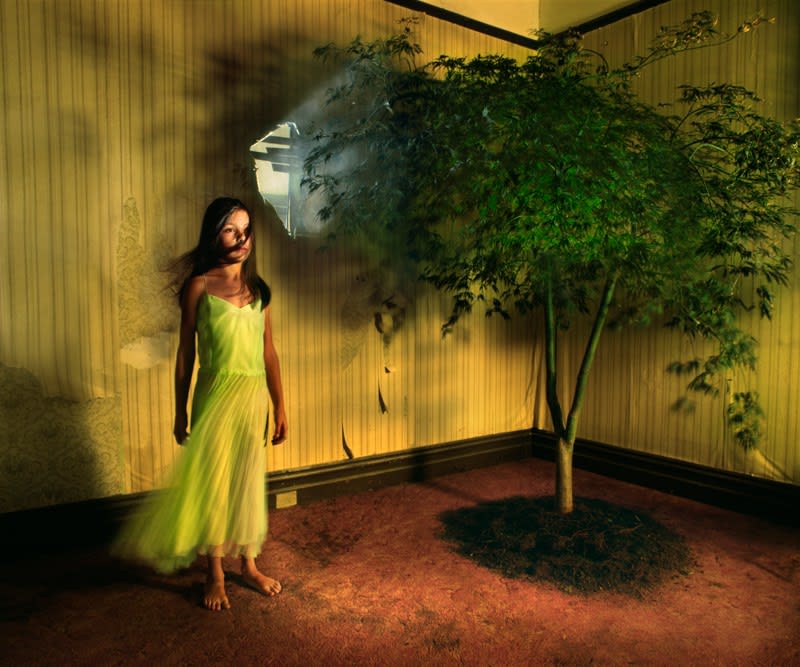 Samantha Everton, Nocturne, 2009