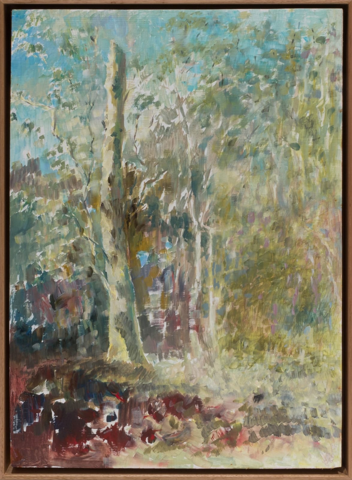 Colin Pennock, Along the Tangara Trail, 2025