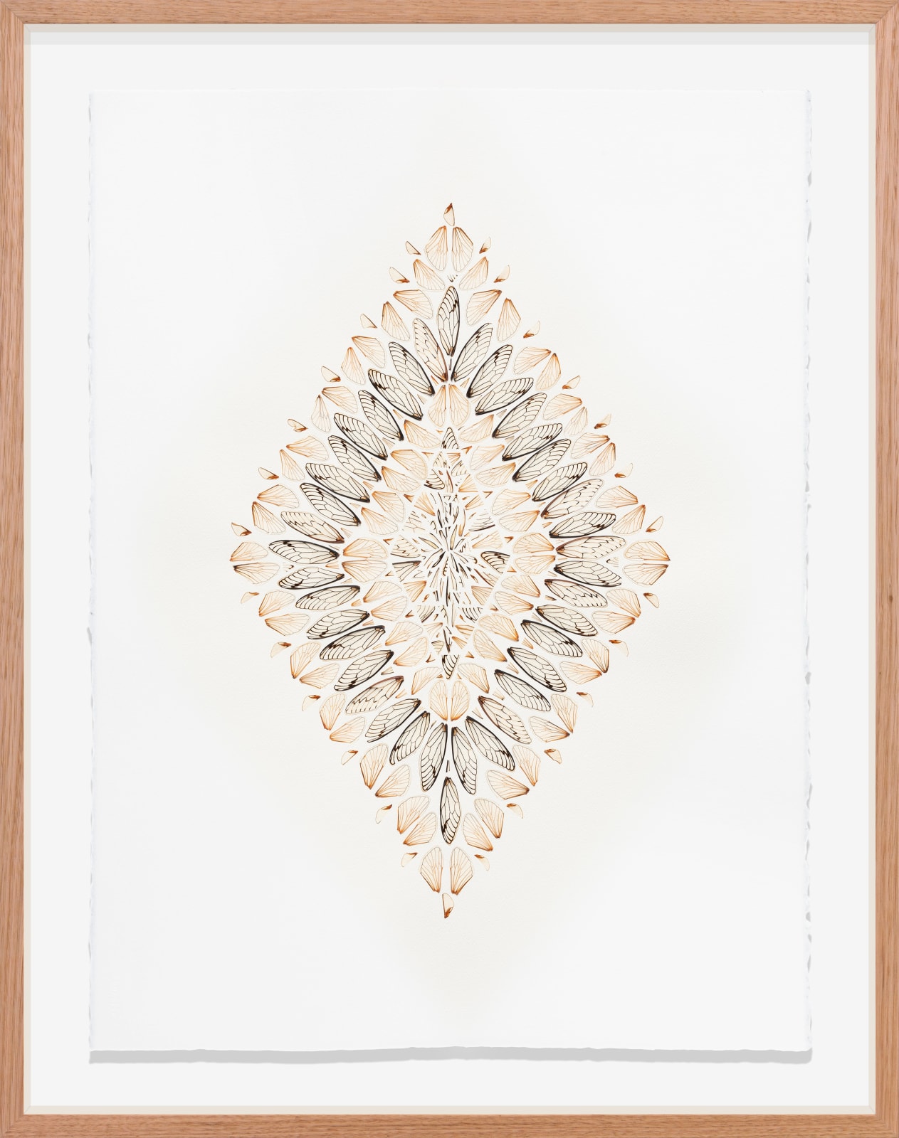 Shona Wilson, Summer Yantra, 2025