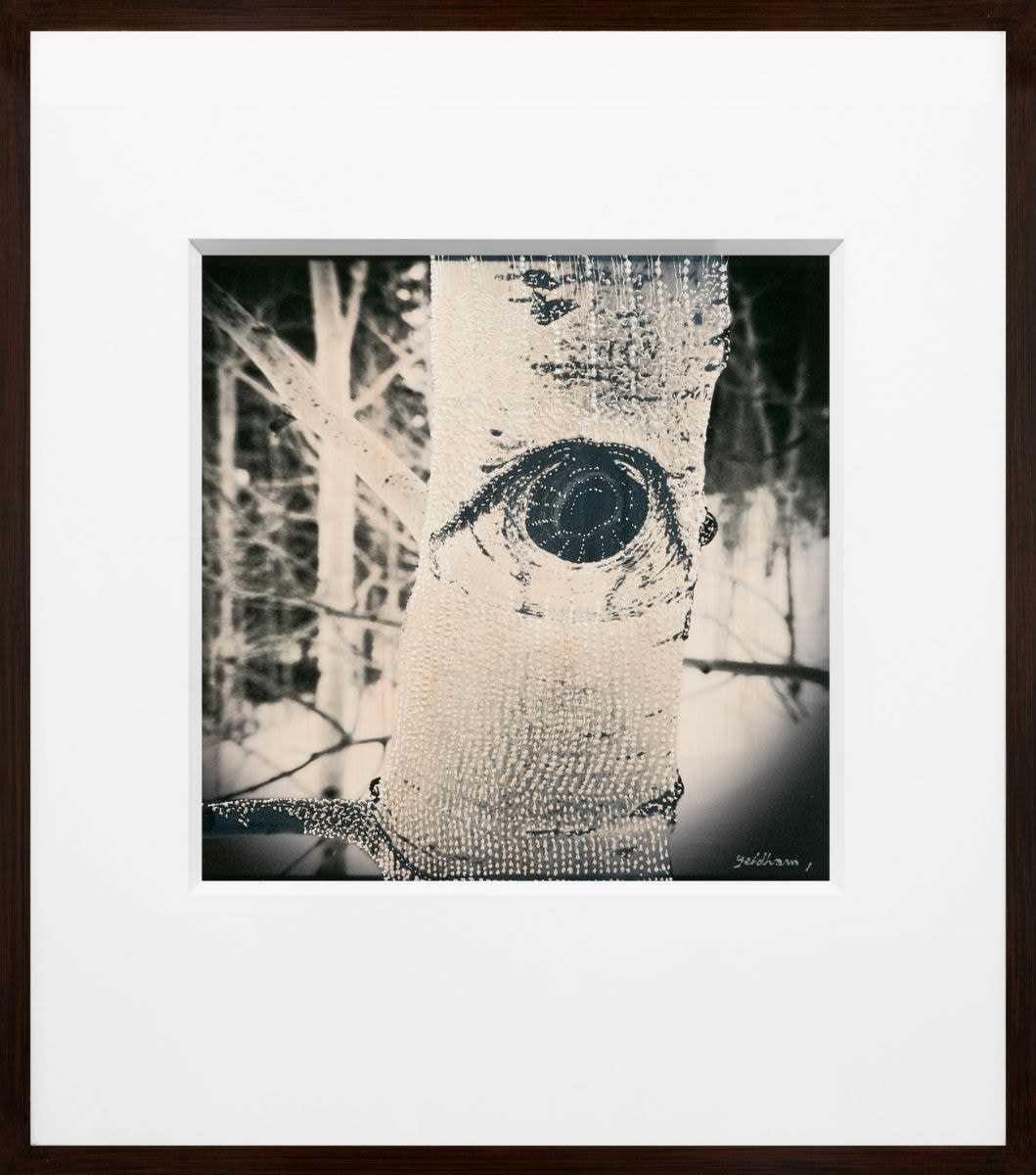 Joshua Yeldham, Aspen Tree VI (Ed. of 10), 2020