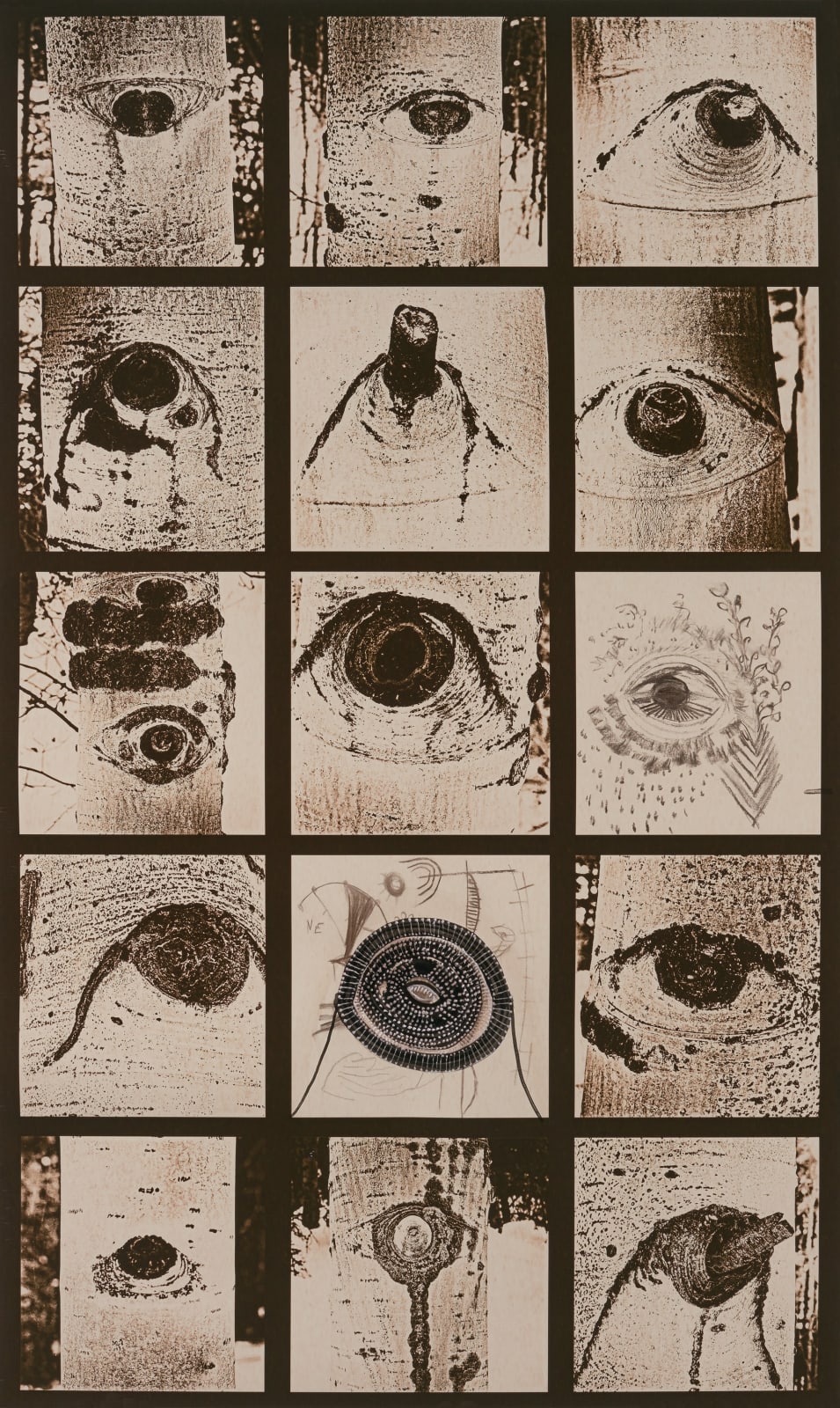 Joshua Yeldham, Eye of the Beholder, 2020