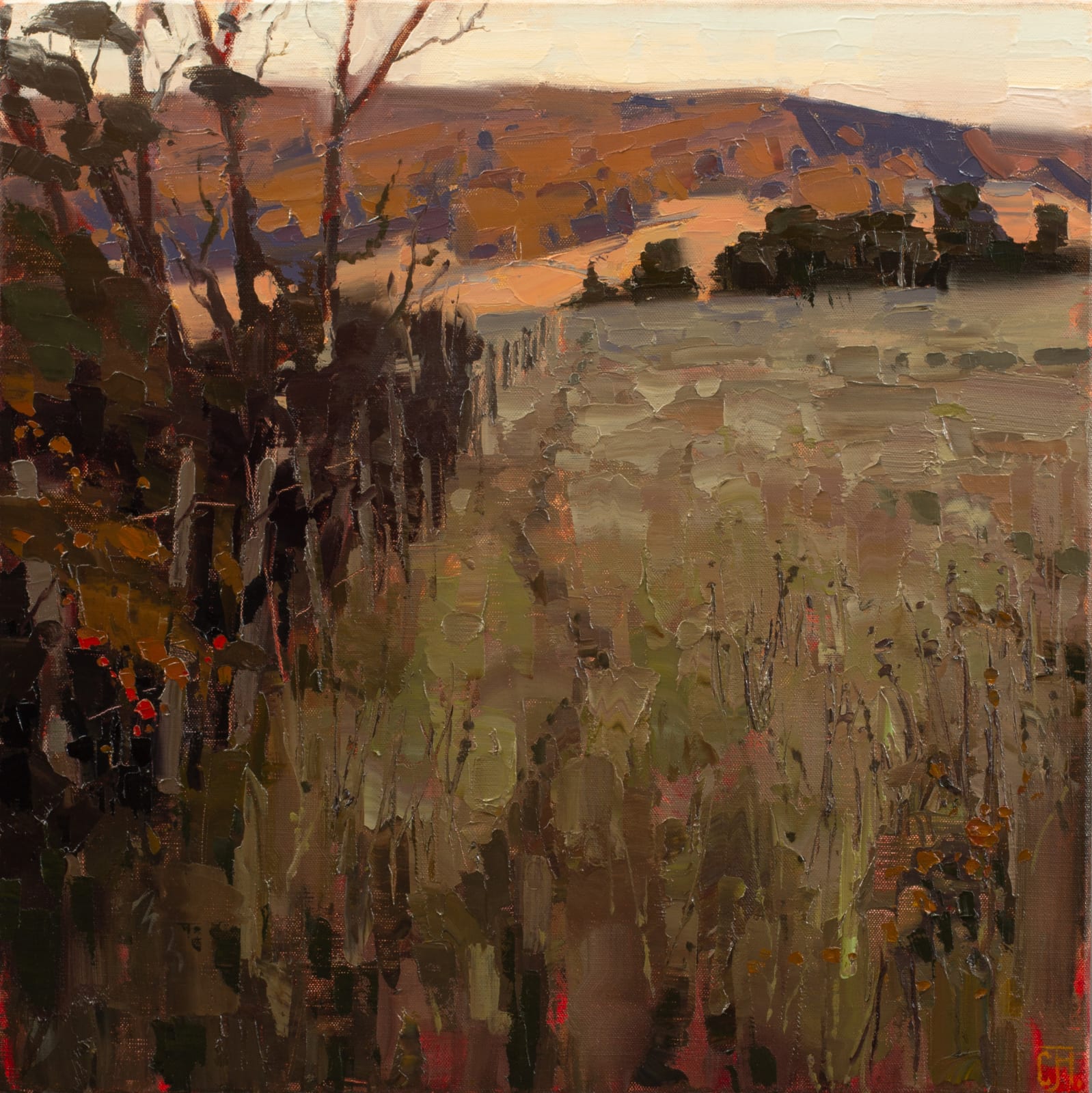 Clifford How, Light Simmer, 2025