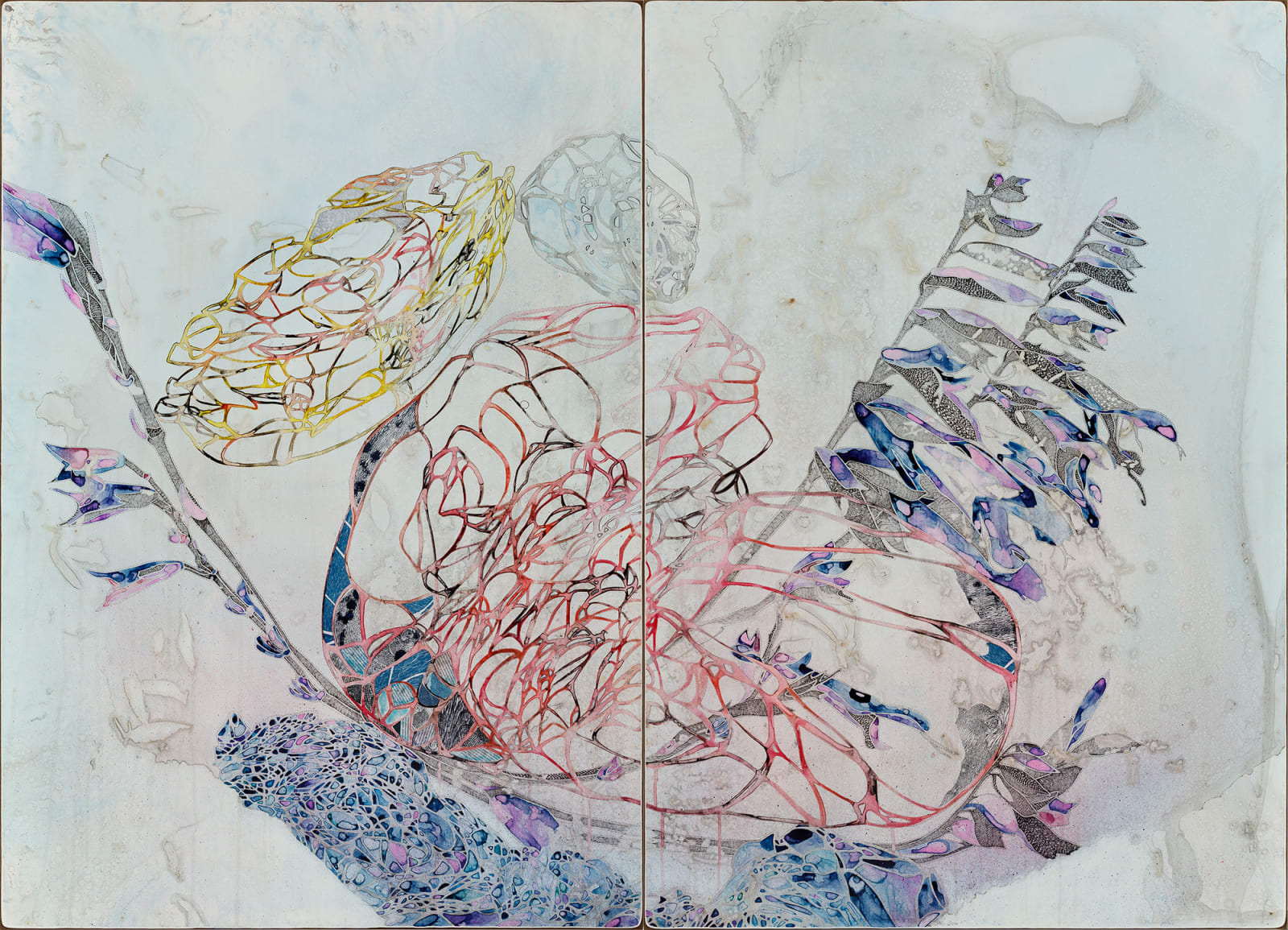 Belinda Fox, Habitat, 2024