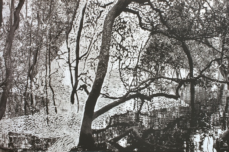 Joshua Yeldham, Protection – Mangrove Country , 2010