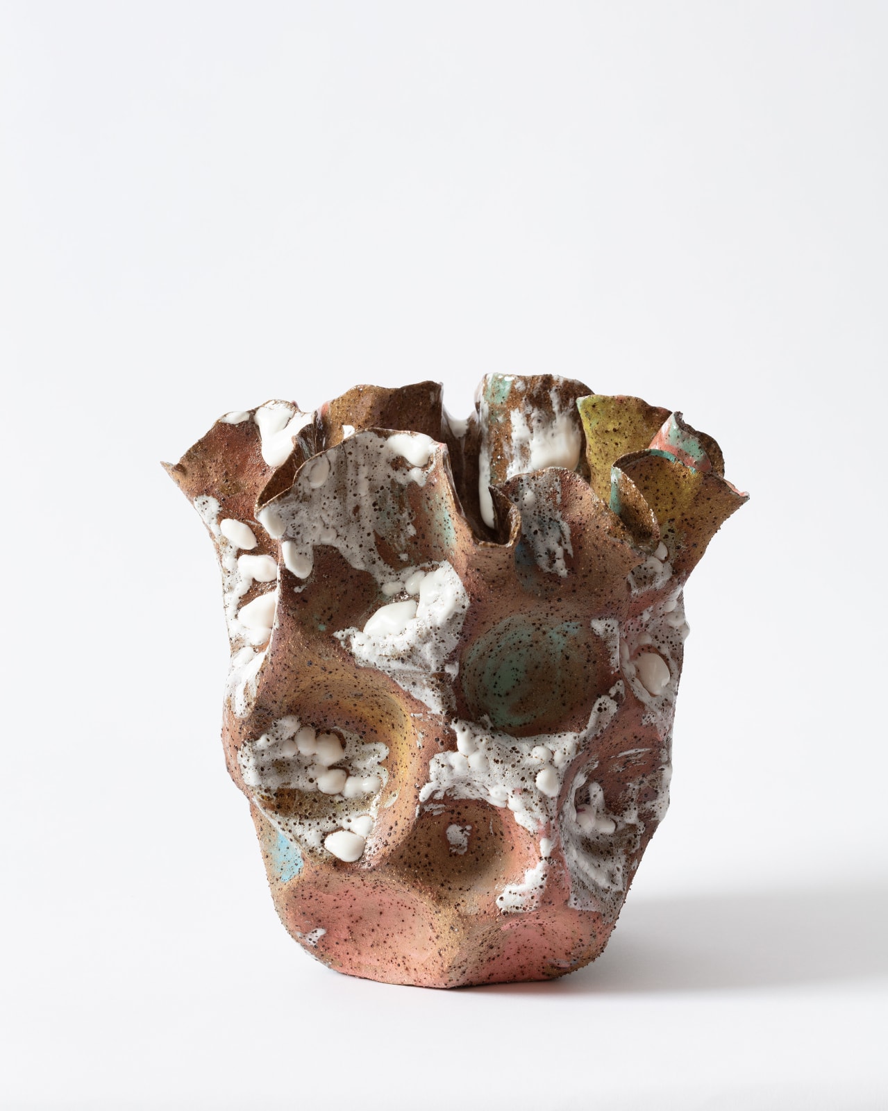 Amelia Lynch, Burnt Wildflowers, 2025