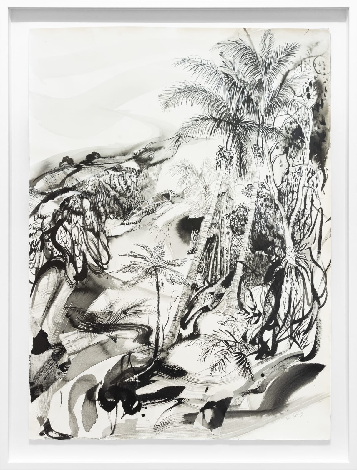 Ian Greig, Bangalow Bush IV, 2023