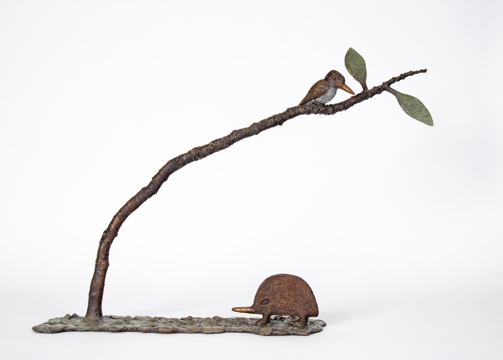 Dean Bowen, Perching Kookaburra with Echidna, 2021