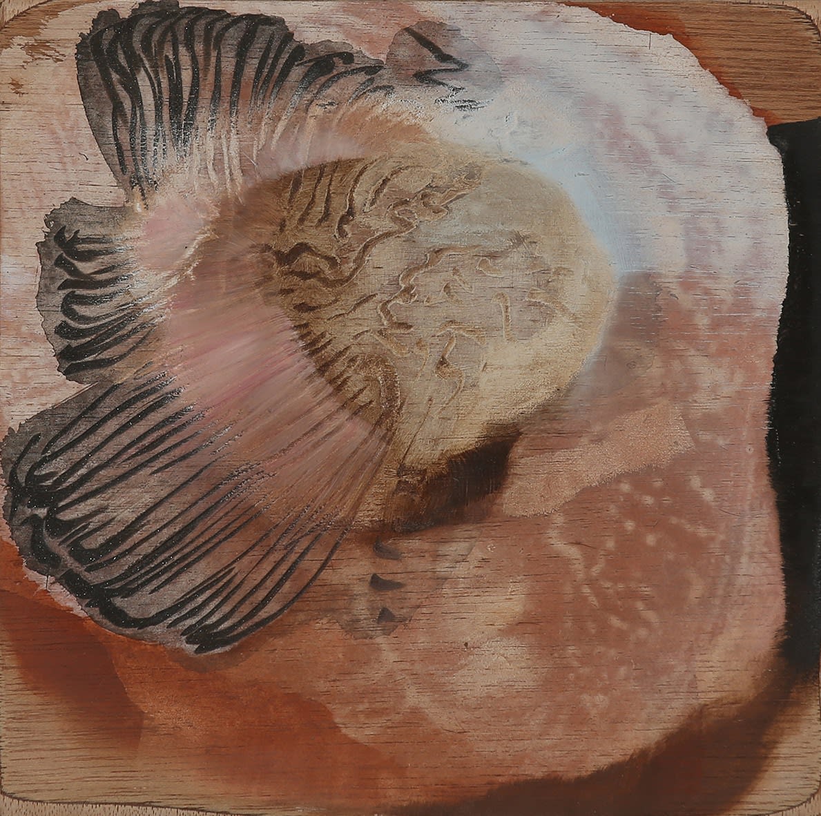 Emma Walker, Intimate Immensity X, 2015