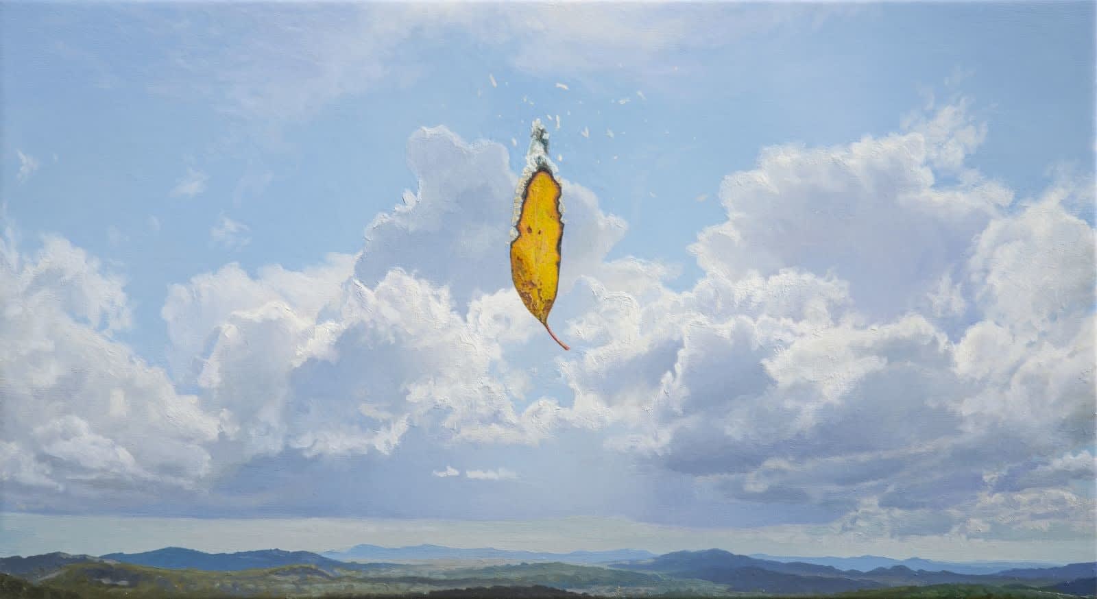 Hobie Porter, Fire index : High, 2014