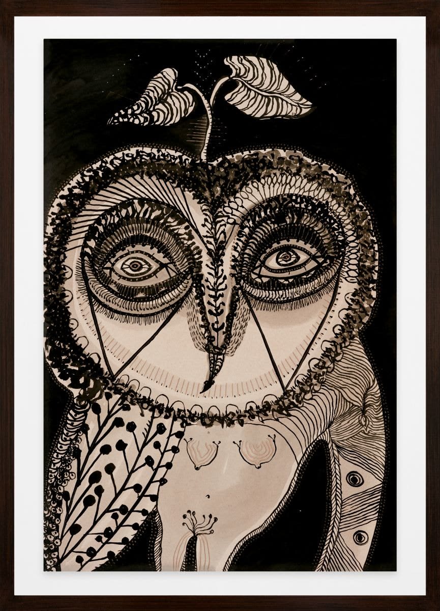 Joshua Yeldham, Owl of Black Taro, 2020
