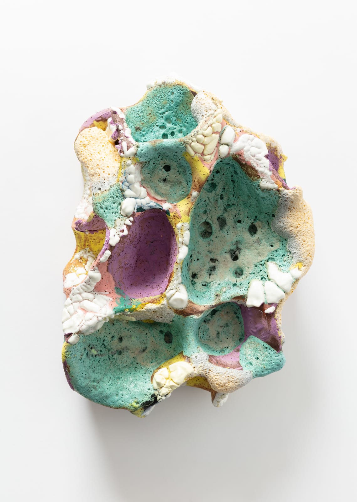 Amelia Lynch, Desert flame grows wild here, 2025