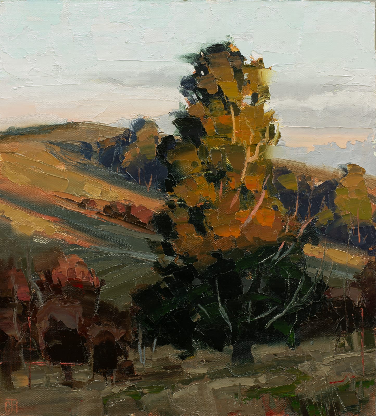 Clifford How, Chasing the Sun III, 2025