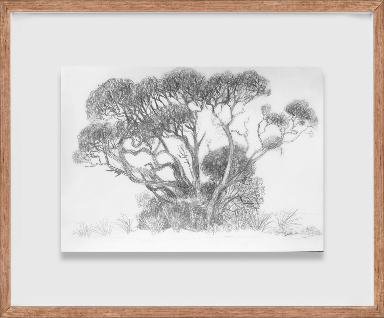 Robyn Sweaney, Moonah Study III, 2020