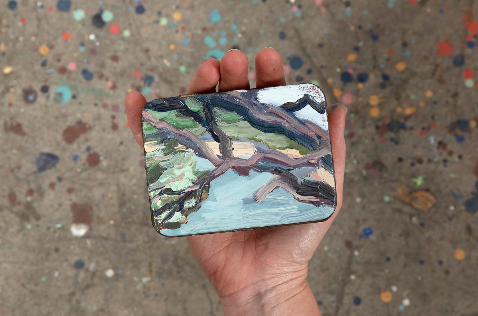 Nicole Kelly, Through Moonahs, 2024