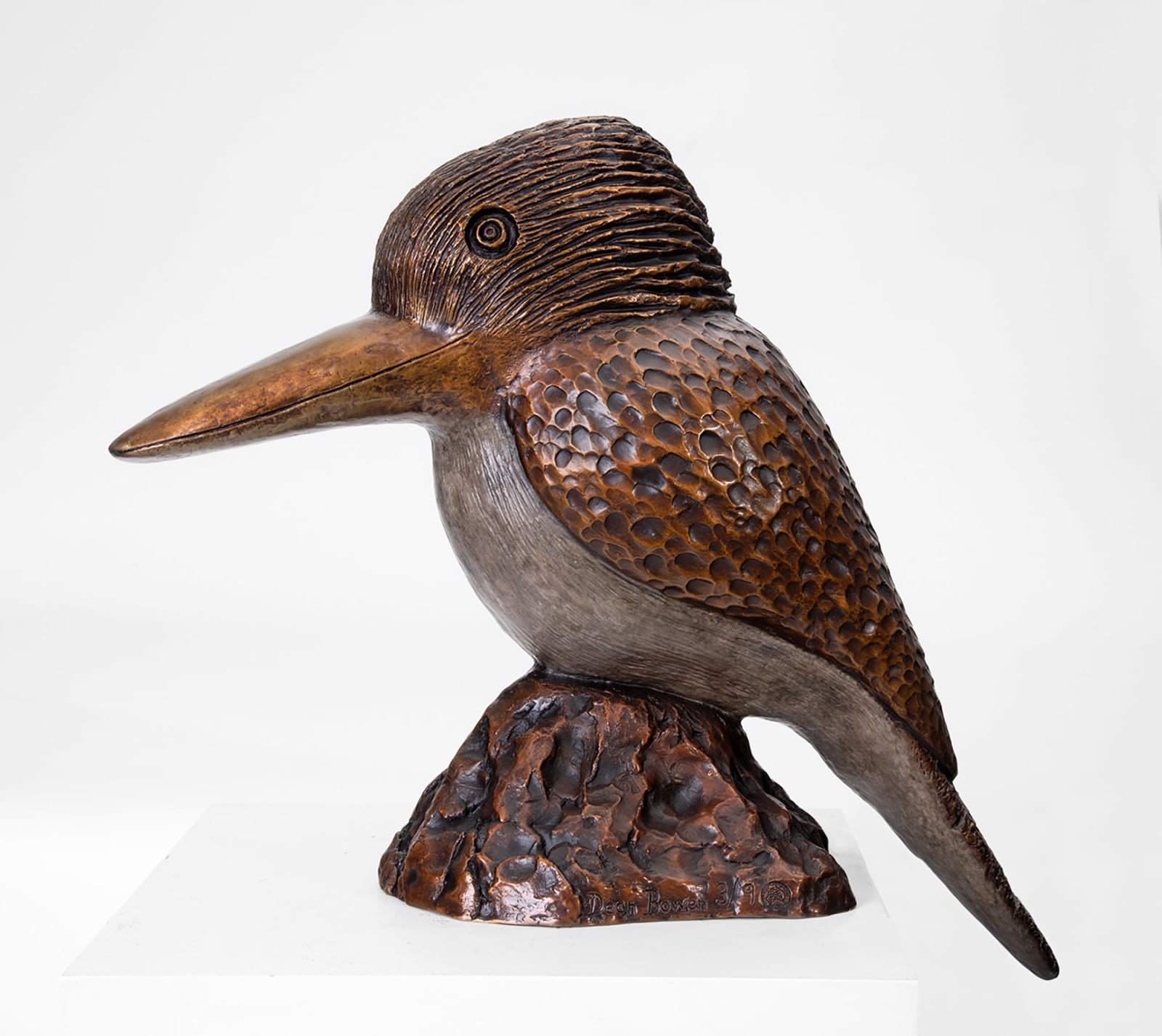Dean Bowen, Kookaburra, 2024